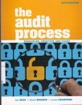 The Audit Process: Principles, Practice, And Cases