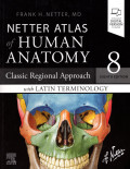 Netter Atlas of Human Anatomy : Classic Regional Approach with Latin Terminology