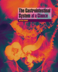 The Gastrointestinal System At A Glance