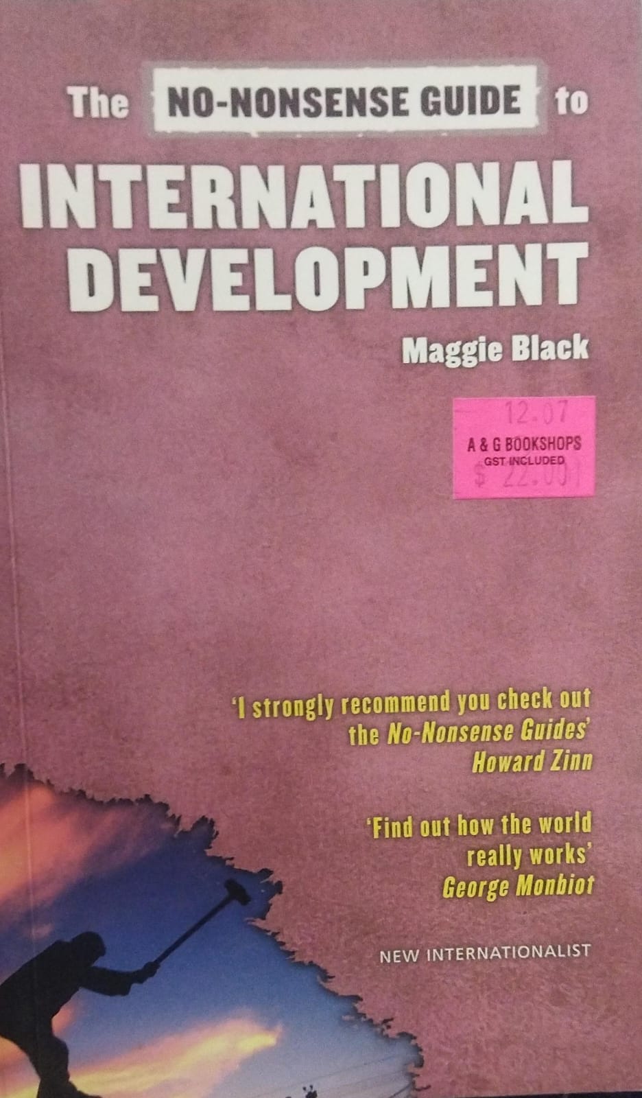 The No - Nonsense Guide to International Development