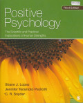 Positive Psychology - The Scientific And Practical Explorations Of Human Strengths