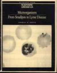 Image of Microorganisms : From Smallpox To Lyme Disease