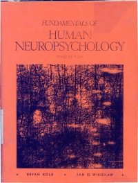Image of Fundamentals Of Human Neuropsychology