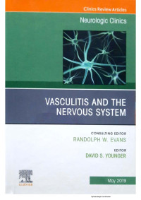 Image of Neurologic Clinics : Vasculitis And The Nervous System