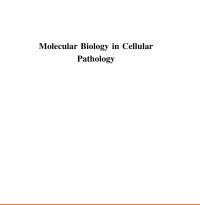 Image of Molecular Biology In Cellular Pathology