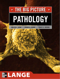 Image of Pathology -The Big Picture McGraw-Hill 2007